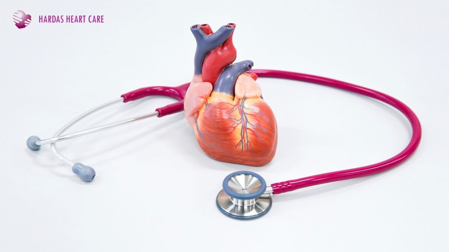 Discover 6 expert heart health tips from a top cardiologist in Pune to keep your heart strong, healthy, and protected for life.